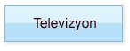 Televizyon
